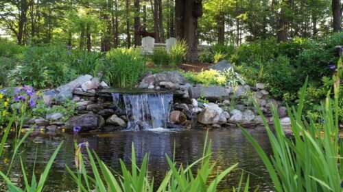 The Grounds